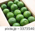 箱入りカボス