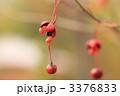 吊花