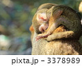 3378989
