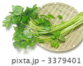 三つ葉