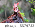 3379782