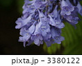3380122