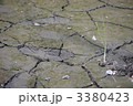 干からびた土地