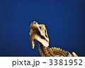 ティラノサウルス