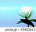 3382841