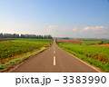 美瑛の丘の直線道路