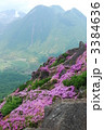 三俣山　豊後ツツジ