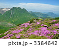 三俣山　豊後ツツジ