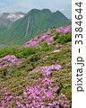 三俣山　豊後ツツジ