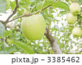 王林