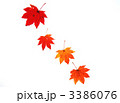 紅葉のオブジェ・横位置白バック
