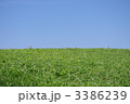 青空と緑地