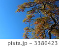 3386423