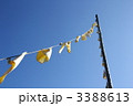 幸せの黄色いハンカチ