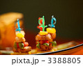 3388805