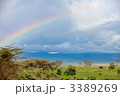 3389269