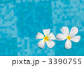 3390755