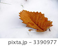 雪の上の葉