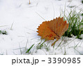 雪の上の落葉と雑草