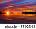 3392348