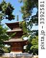 世田谷区　豪徳寺　三重塔