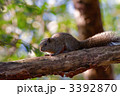 3392870