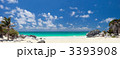 3393908