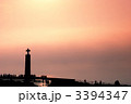 3394347