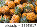 3395617