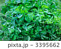 3395662