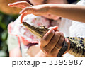 3395987
