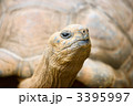 3395997