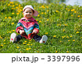 3397996