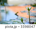 3398047