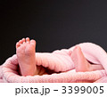 3399005