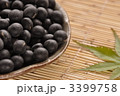 黒豆