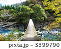 秋山郷の中津川渓谷に架かる見倉橋