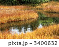 尾瀬国立公園　横田代の池塘