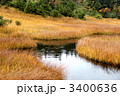 尾瀬国立公園　横田代の池塘