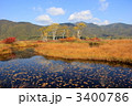 尾瀬国立公園　尾瀬ヶ原の池塘