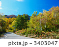 志賀高原と秋山郷の分岐点の紅葉