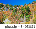 奥志賀高原の岩山と紅葉