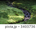 苔庭のイメージ　瑠璃の庭