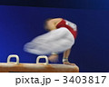 3403817