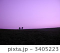 親子の木
