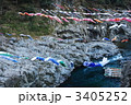 吉野川のこいのぼり