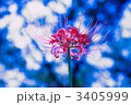 両手をひろげて