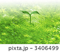 新芽