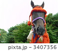 時代祭の馬
