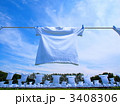 Ｔシャツ